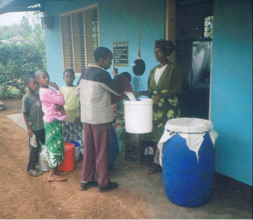 Collecting milk
